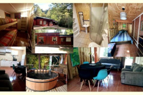 Agradable cabaña a pasos de Ojos del Caburgua